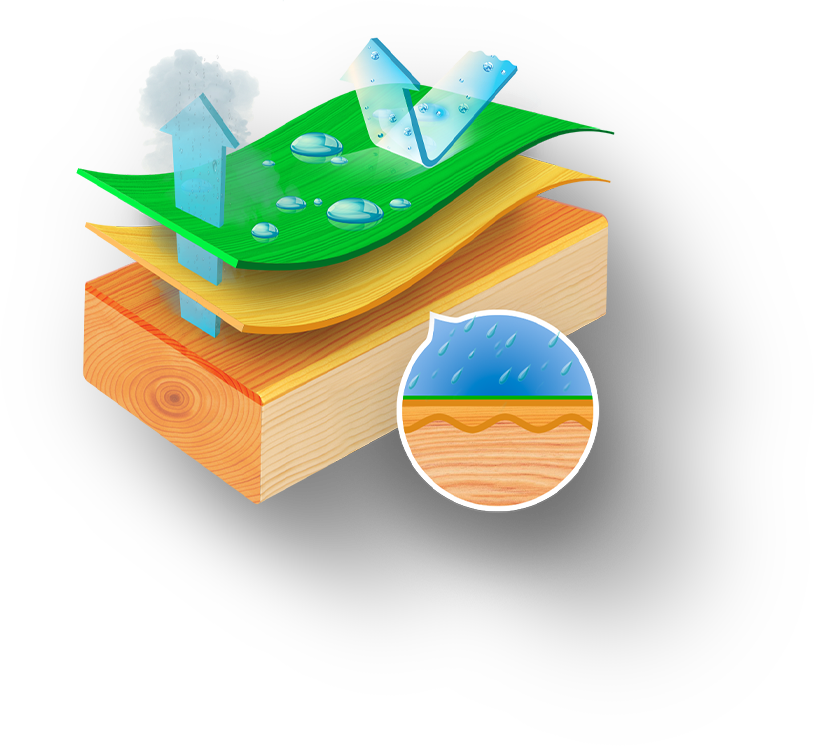 membrane